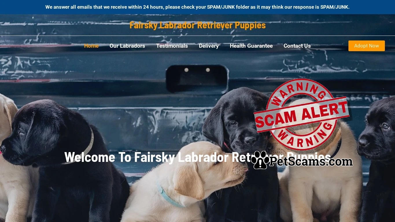 is Fairsky Labrador Retriever Puppies – Purebred Labrador Retrievers For Sale legit? screenshot