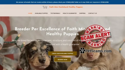 Scam Website: Faith Mini Dachshund Healthy Puppies – Dachshund Puppies For Sale