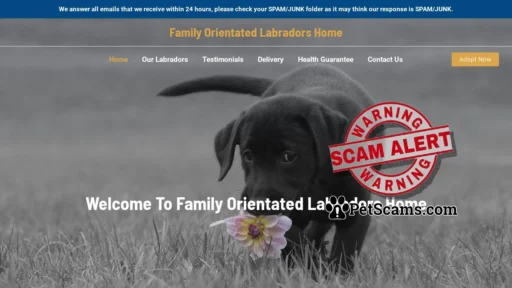 Scam Website: Family Orientated Labradors Home – Purebred Labrador Retrievers For Sale