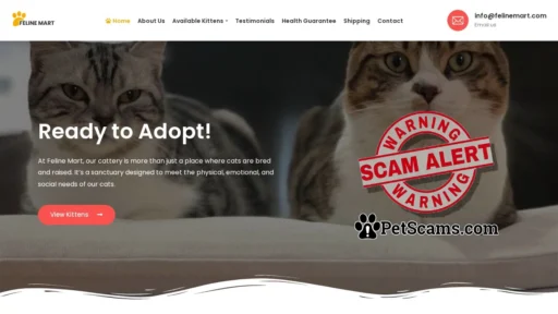 Scam Website: Error: Request timed out