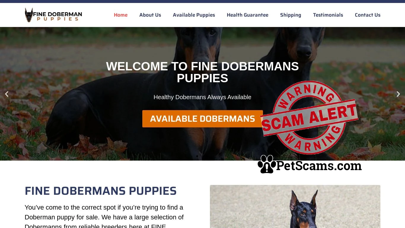 is FINE DOBERMANS PUPPIES – FINE DOBERMANS PUPPIES legit? screenshot