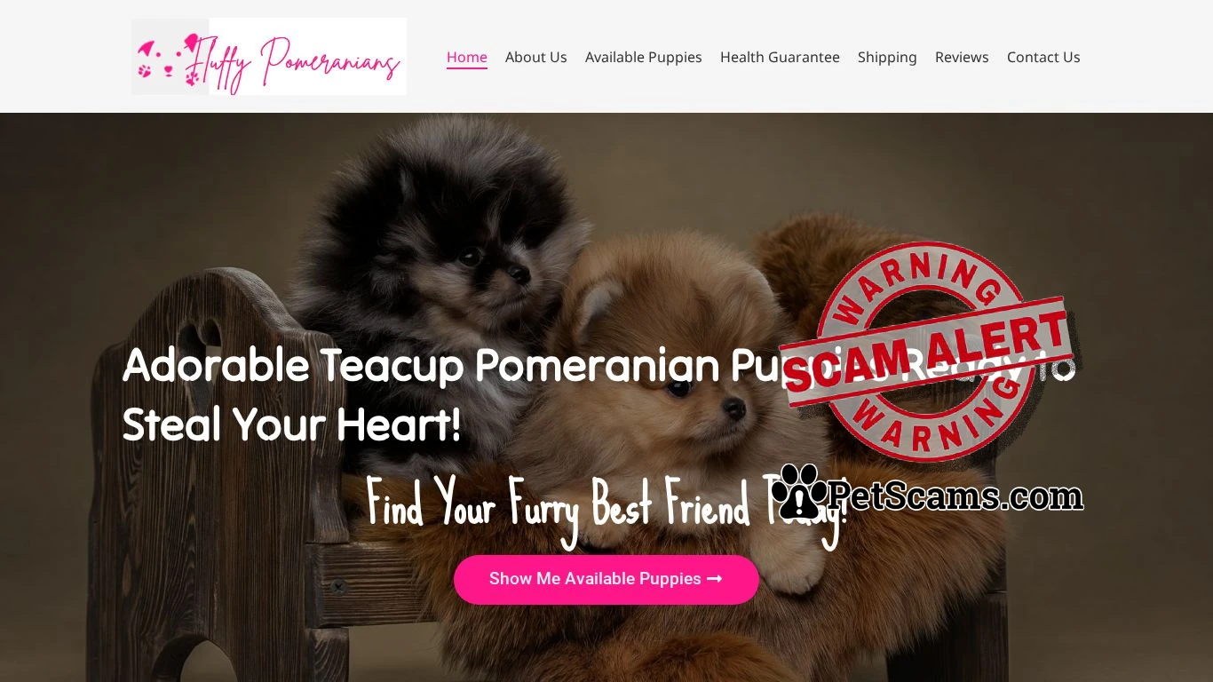 is fluffypomeranians.com legit? screenshot