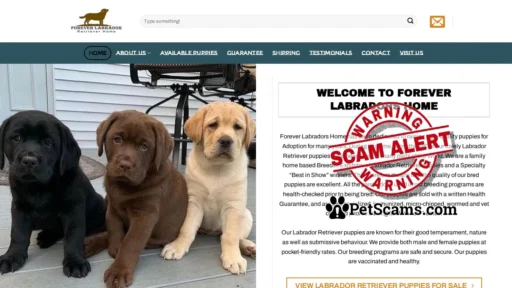 Scam Website: Forever Labradors