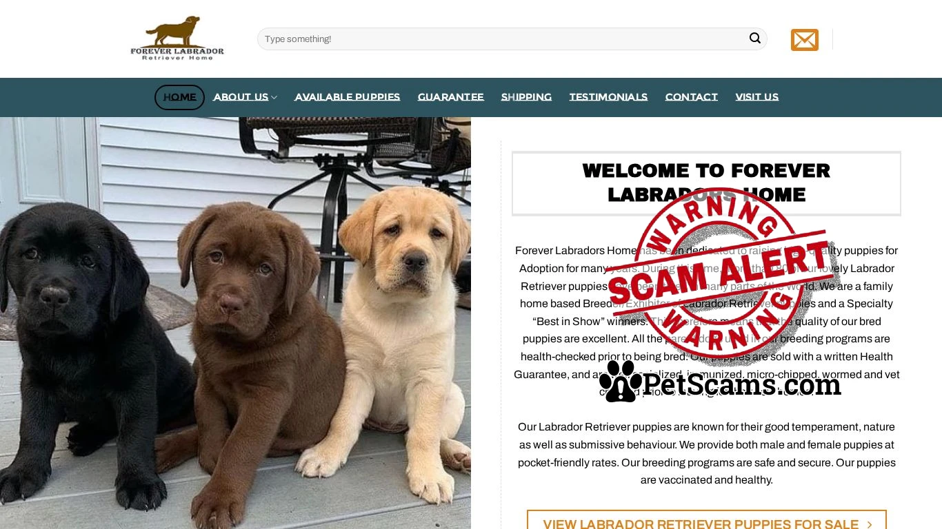 is Forever Labradors legit? screenshot