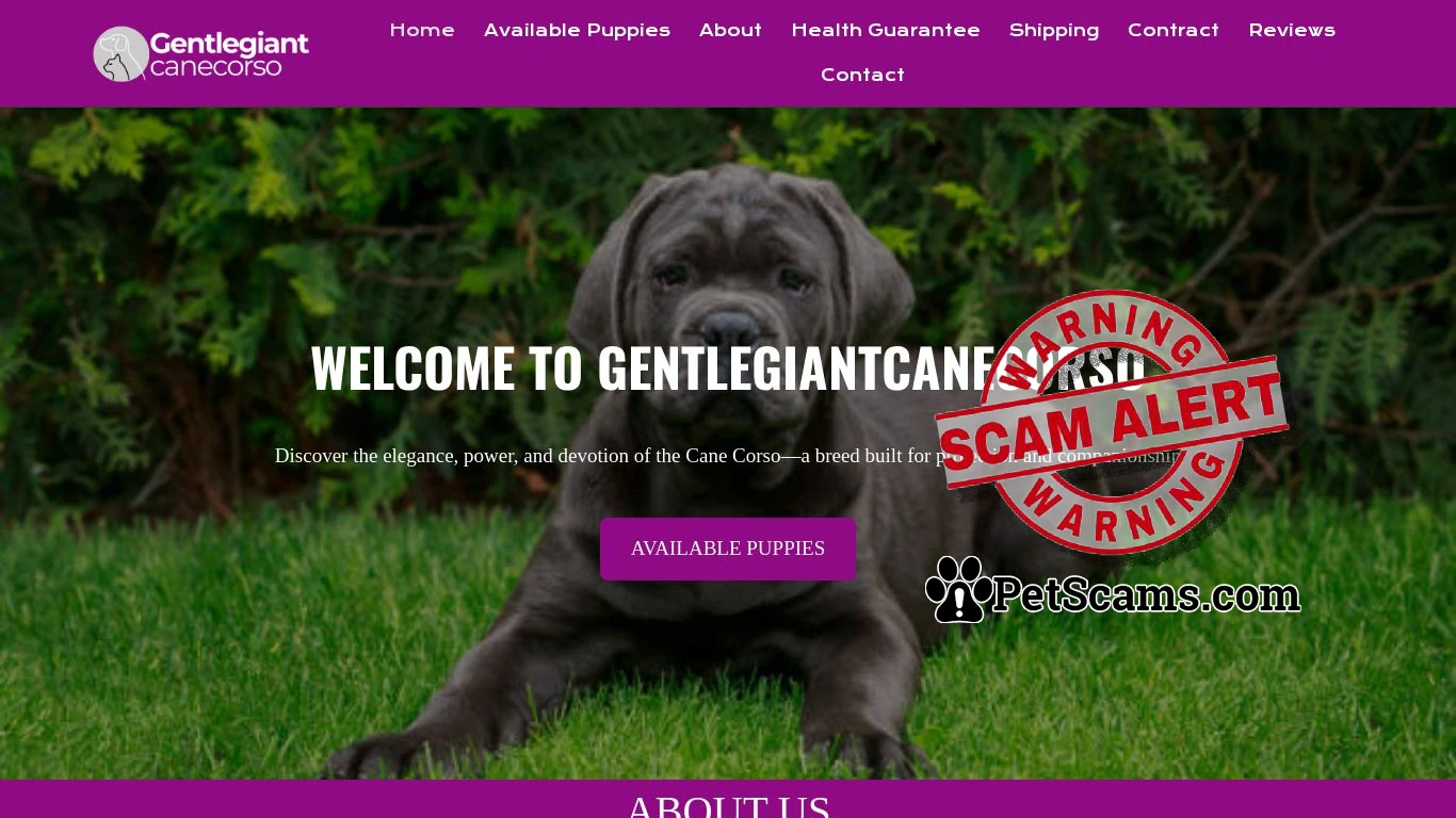 is gentlegiantcanecorso.com – gentlegiantcanecorso.com legit? screenshot