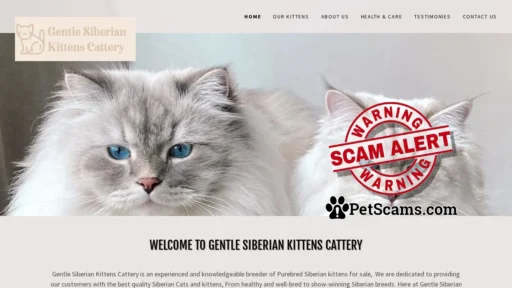 Scam Website: HOME