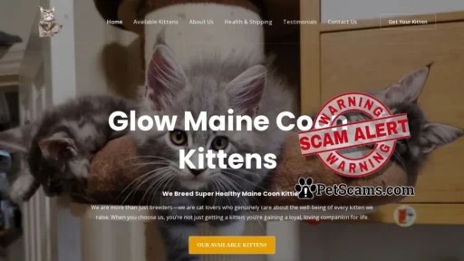 Scam Website: Glow Maine Coon Kittens – Maine Coon Kittens For Sale
