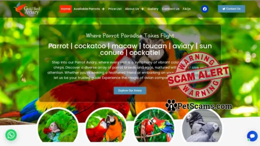 Scam Website: Parrot | cockatoo | macaw | toucan | aviary | cockatiel