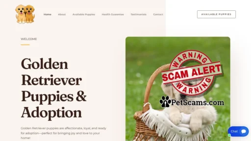 Scam Website: Golden Retriever Puppies Ready For Adoption – .