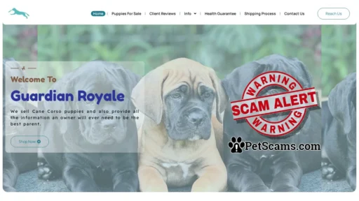 Scam Website: Guardian Royale – Puppies for sale!