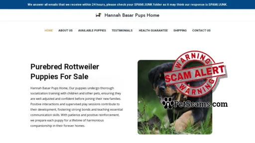 Scam Website: Hannah Basar Pups Home – Purebred Rottweiler Puppies For Sale