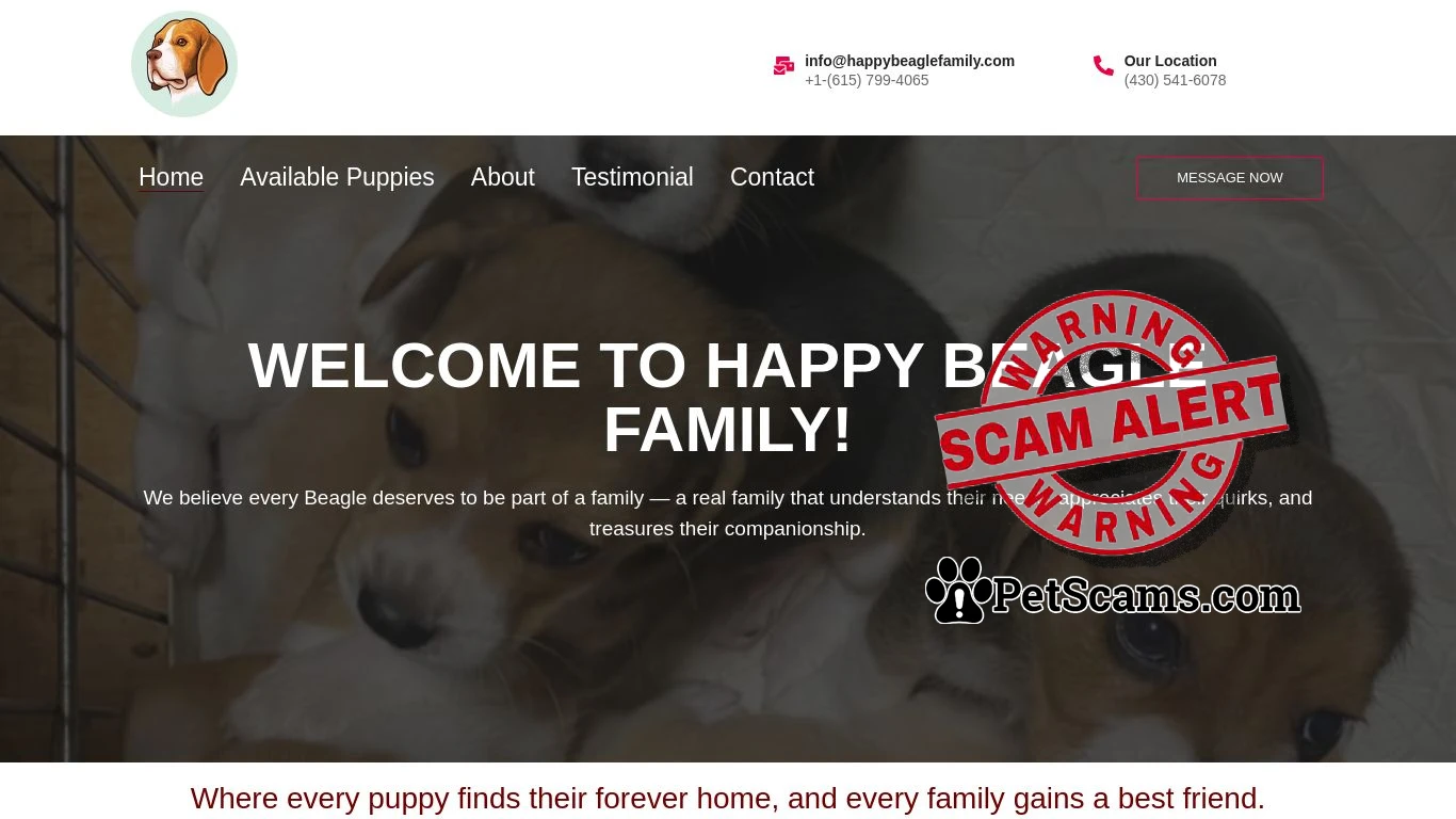 is happybeaglefamily legit? screenshot