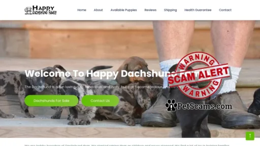 Scam Website: Home | Happy Dachshund Family