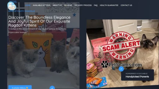 Scam Website: Home Of Fluffy Ragdolls – Home Of Fluffy Ragdolls