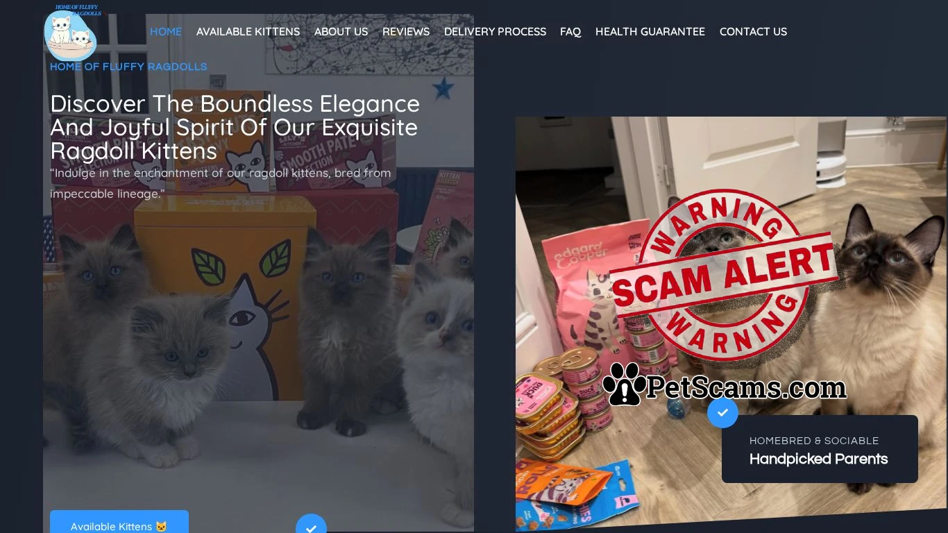 is Home Of Fluffy Ragdolls – Home Of Fluffy Ragdolls legit? screenshot