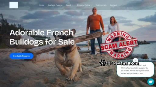 Scam Website: Jace french bulldogs