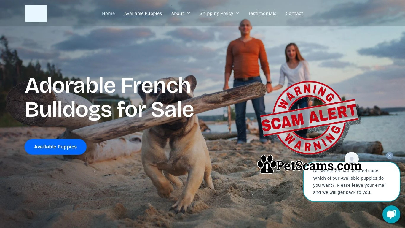 is Jace french bulldogs legit? screenshot