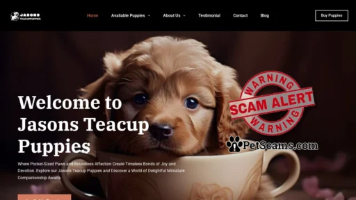 Scam Website: Home - Jason's Teacup Puppies