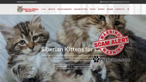 Scam Website: Siberian Kitten World PTY – Kittens for Sale | Buy Kittens Online | Order Kittens Online