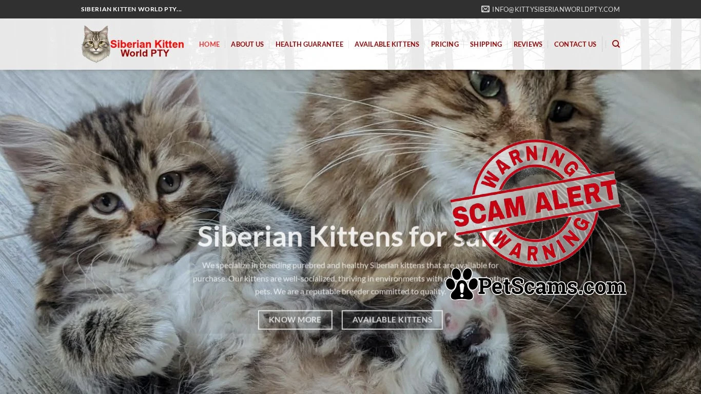 is Siberian Kitten World PTY – Kittens for Sale | Buy Kittens Online | Order Kittens Online legit? screenshot