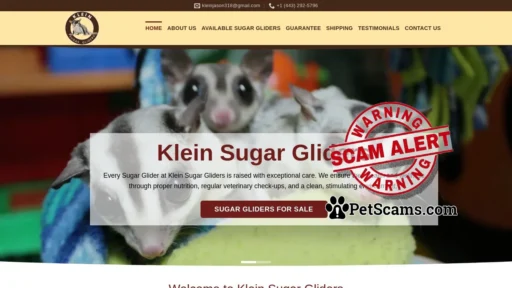 Scam Website: Klein Sugar Gliders | Healthy and Friendly Sugar Gliders