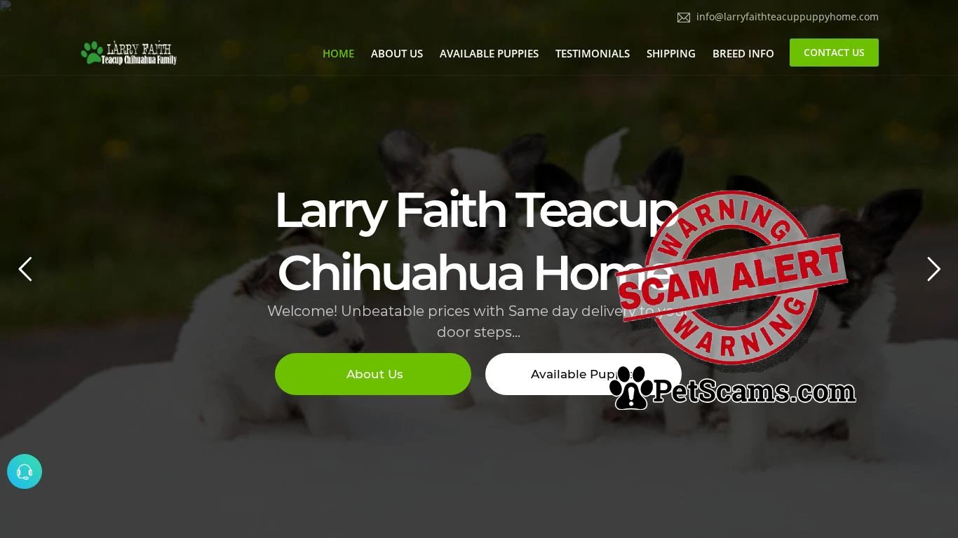 is Larry Faith Teacup Chihuahua Home | Home legit? screenshot