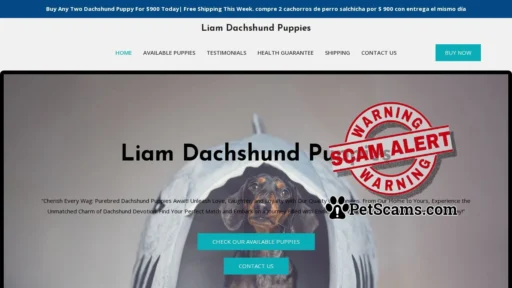 Scam Website: Liam Dachshund Puppies – Purebred Dachshund Puppies For Sale