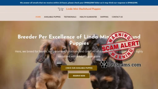 Scam Website: Linda Mini Dachshund Puppies – Dachshund Puppies For Sale