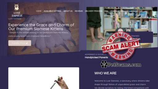 Scam Website: Luxe Siamese – Luxe Siamese