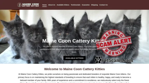 Scam Website: Maine Coon Cattery Kitties – Maine coon kittens for sale