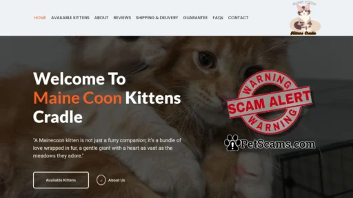 Scam Website: Maine Coon Kittens Cradle – Maine Coon Kittens Available For Sale