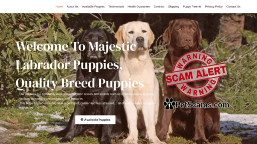 Scam Website: Majestic Labrador Puppies