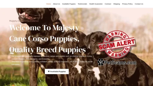 Scam Website: Majesty Cane Corso Puppies