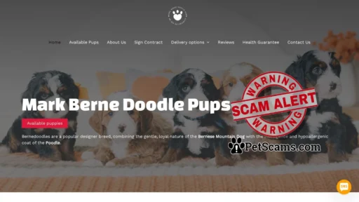 Scam Website: Mark Berne doodle Puppies – Puppies for sale