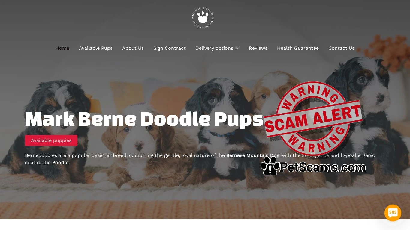 is Mark Berne doodle Puppies – Puppies for sale legit? screenshot