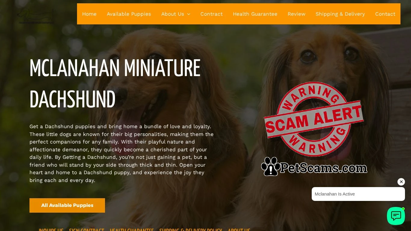 is Mclanahan Miniature Dachshund – buy Dachshund Puppies online legit? screenshot