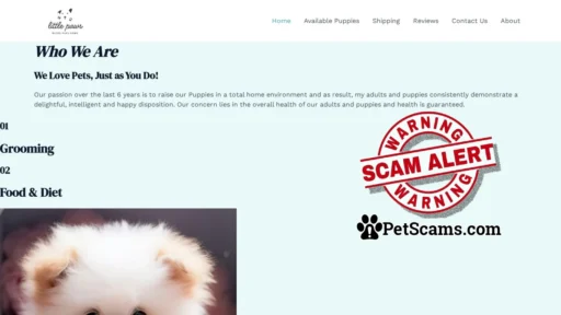 Scam Website: micro pups – Registered/registerable Puppies