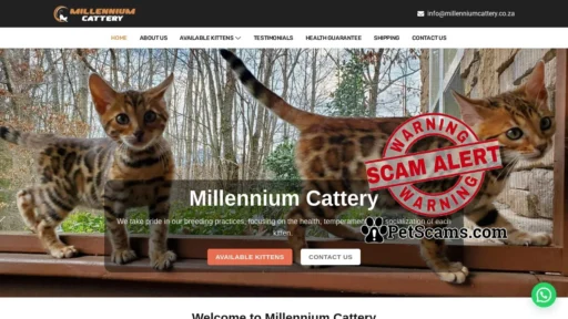 Scam Website: Millennium Cattery – Kittens for sale South Africa