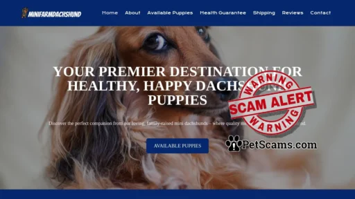 Scam Website: minifarmdachshund – minifarmdachshund