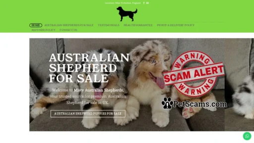 Scam Website: Australian Shepherd For Sale - Misty Australian Shepherds