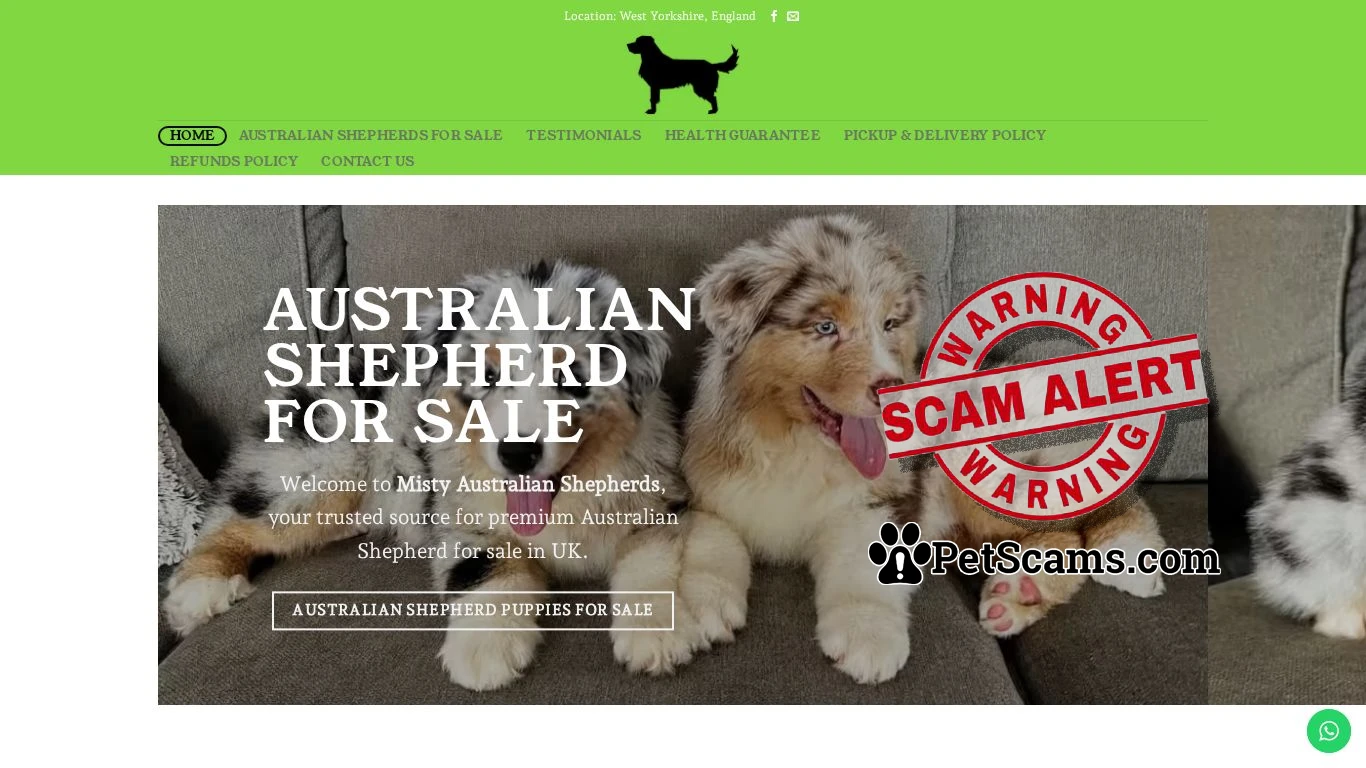 is Australian Shepherd For Sale - Misty Australian Shepherds legit? screenshot