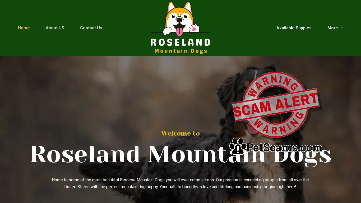 is Bernese Mountain Dog Puppies | Roselandmountaindogs.com legit? screenshot
