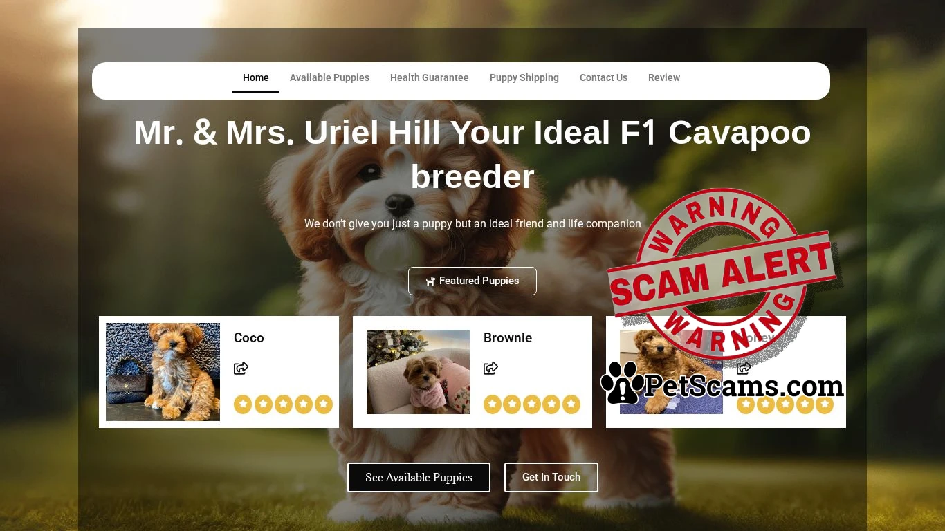 is Mr & Mrs Uriel Hill – Cavapoo Puppies here legit? screenshot
