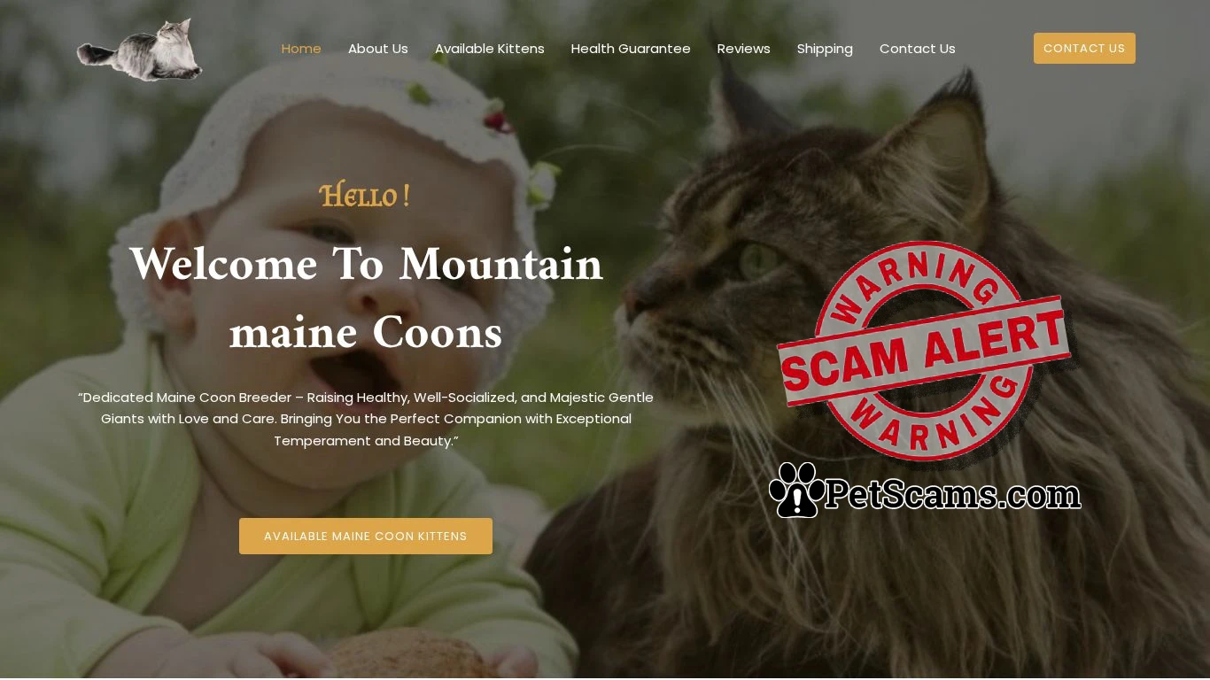 is Mountain Maine Coons legit? screenshot