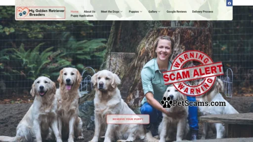 Scam Website: My Golden Retriever Breeders