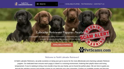 Scam Website: Neith Labrador Retrievers – Labrador Retriever puppies for sale