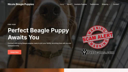 Scam Website: Home - Nicole Beagle Puppies