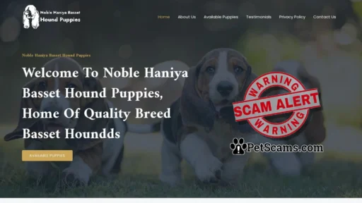 Scam Website: Noble Haniya Basset Hound Puppies