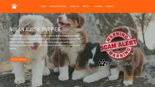 Scam Website: Nolan Aussie Puppies – Buy pups online