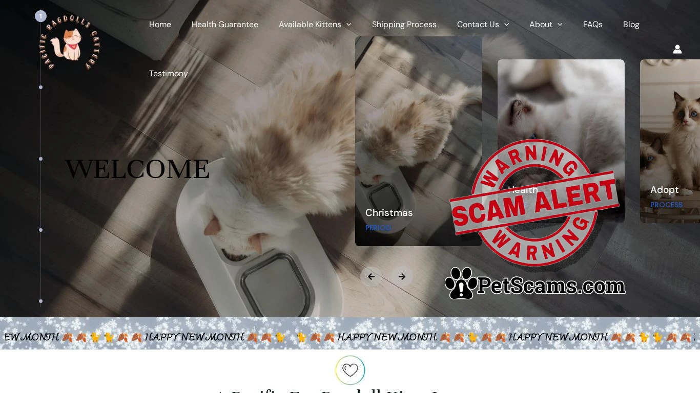 is Home - pacificragdollcattery.com legit? screenshot